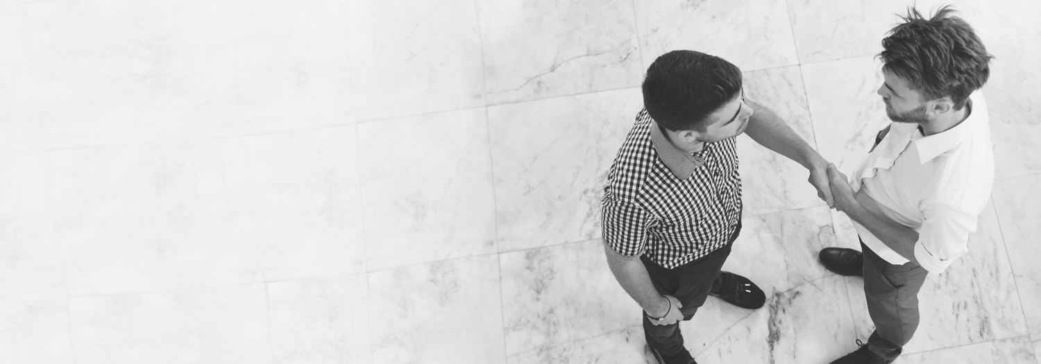 Purpose and values