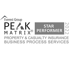 peak-matrix-p-and-c-star-performer-2022