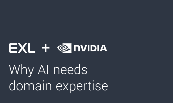 Why AI Needs Domain Expertise 