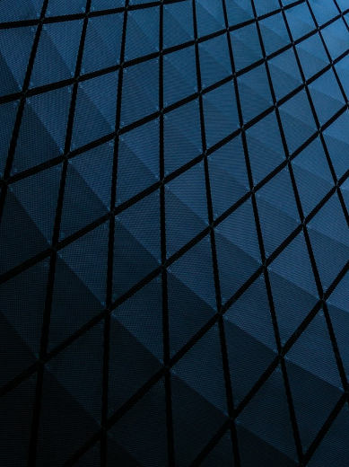 EXL Alumni Network