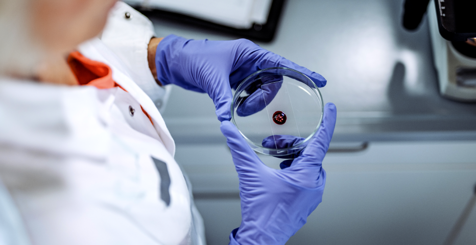 Life sciences 