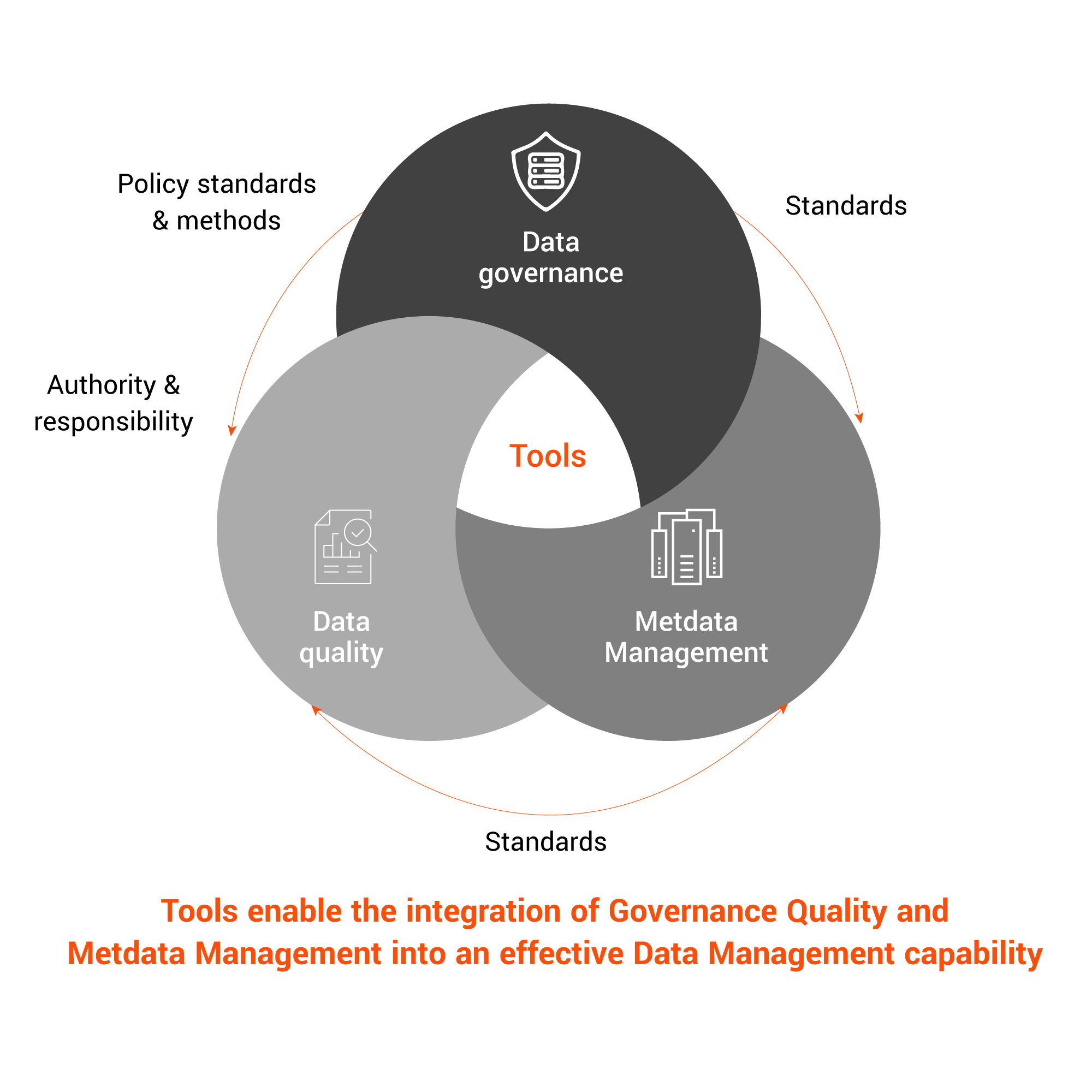 Data Governance Tool Model