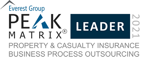 Everest PEAK Matrix® assessment 2021
