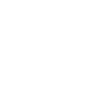 Icon1