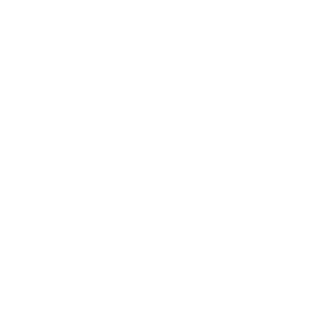 Icon7