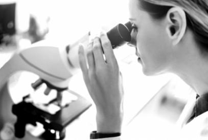 An Efficient Personalized Reporting Solution Delivered Through EXLCIP