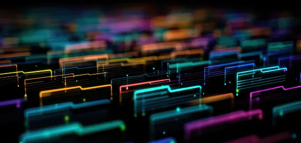 Master Data Management